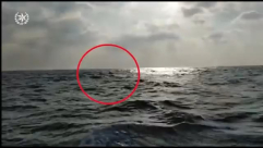 فيديو: انقاذ سيدة بعد انقلاب مركبها قرب شاطئ يافا 